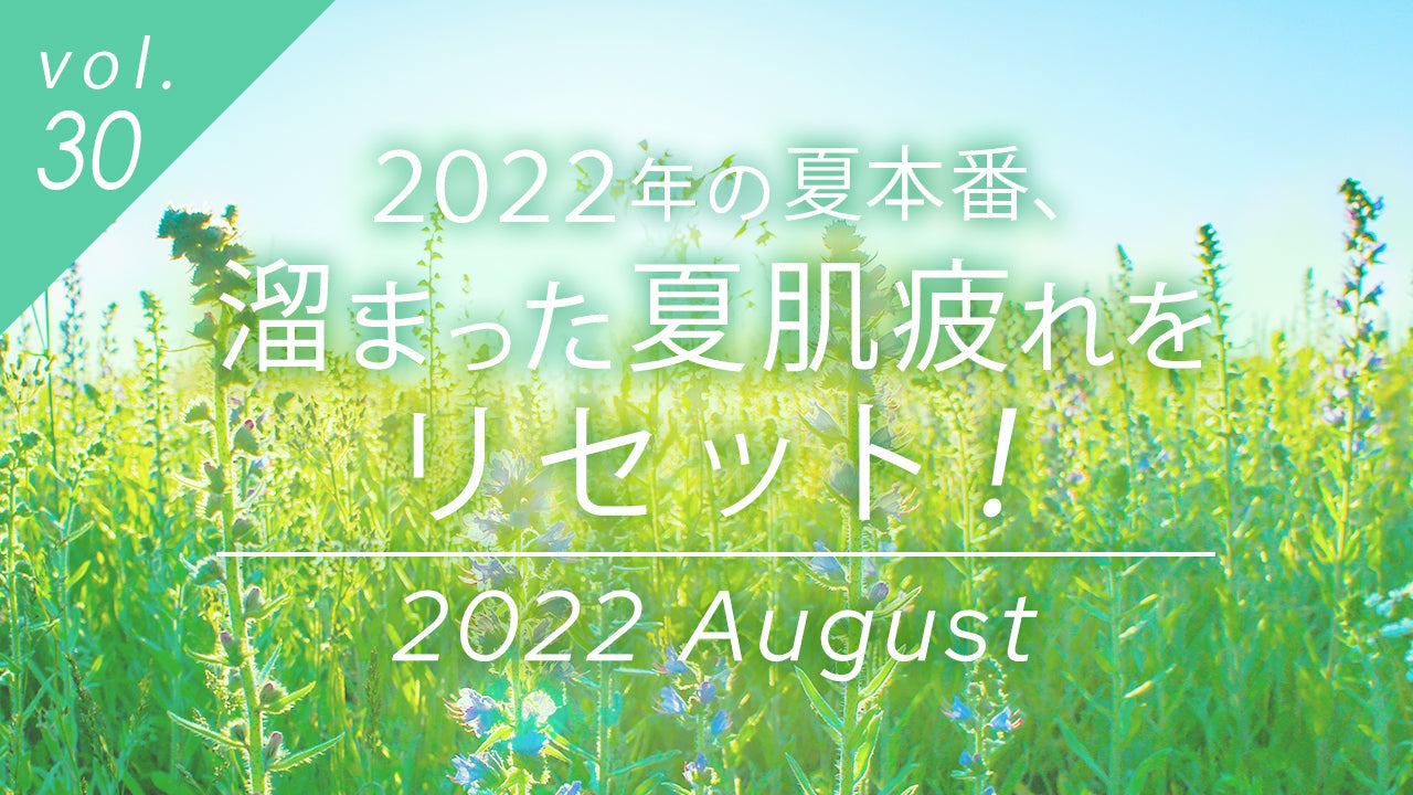夏本番、溜まった夏肌疲れをリセットするためのコラムのメイン画像。