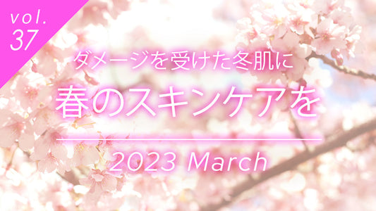 冬のダメージ肌に向けた春のスキンケアを紹介するコラムのヘッダー画像。満開の桜を背景に、3月からの美白とくすみ対策の重要性を伝えます。