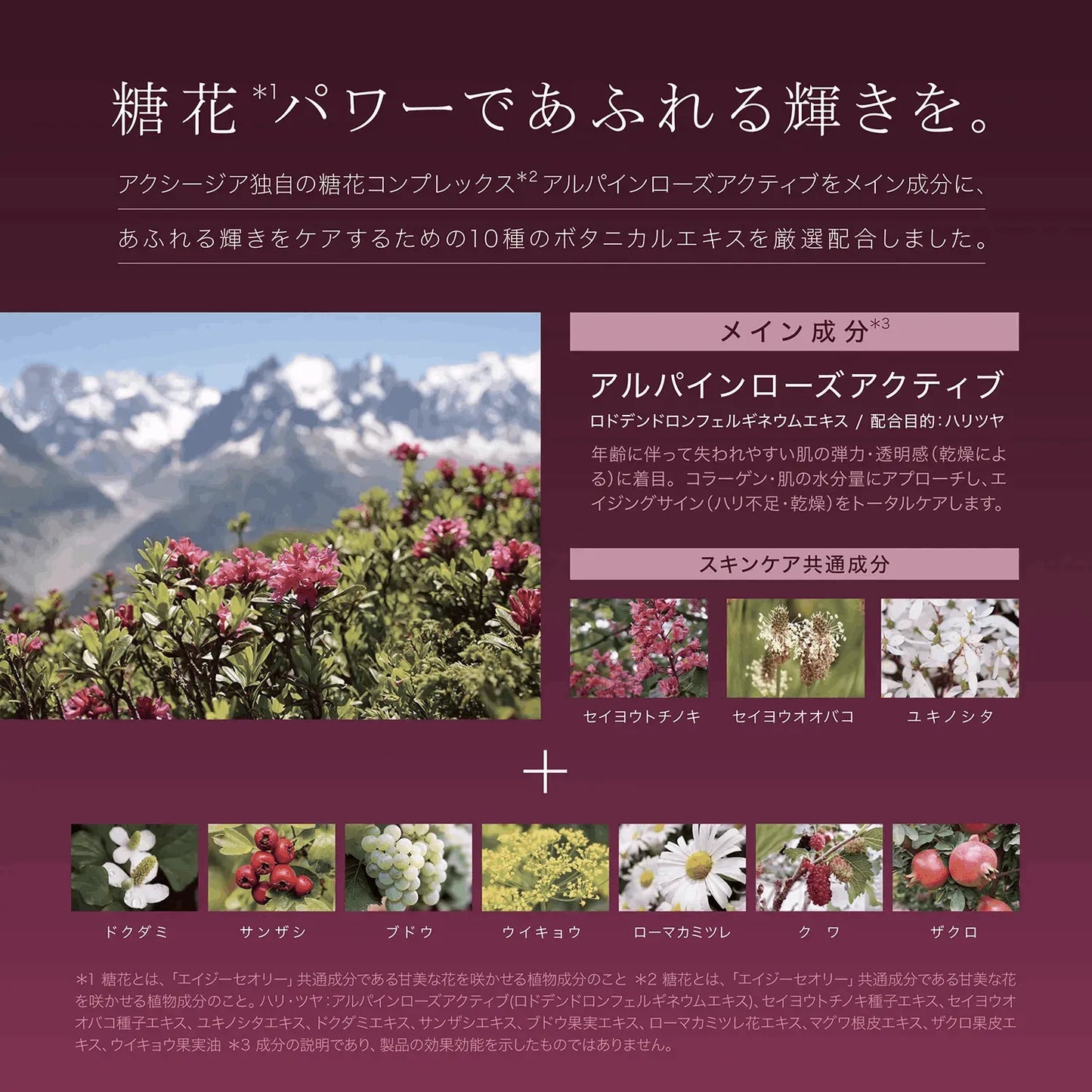 アクシージア_エイジーセオリー_ パーフェクトジェルマスク_アクシージア独自の糖花コンプレックス*2 アルパインローズアクティブをメイン成分に、 あふれる輝きをケアするための10種のボタニカルエキスを厳選配合しました。*1 糖花とは、「エイジーセオリー」共通成分である甘美な花を咲かせる植物成分のこと *2 年齢に応じたお手入れ