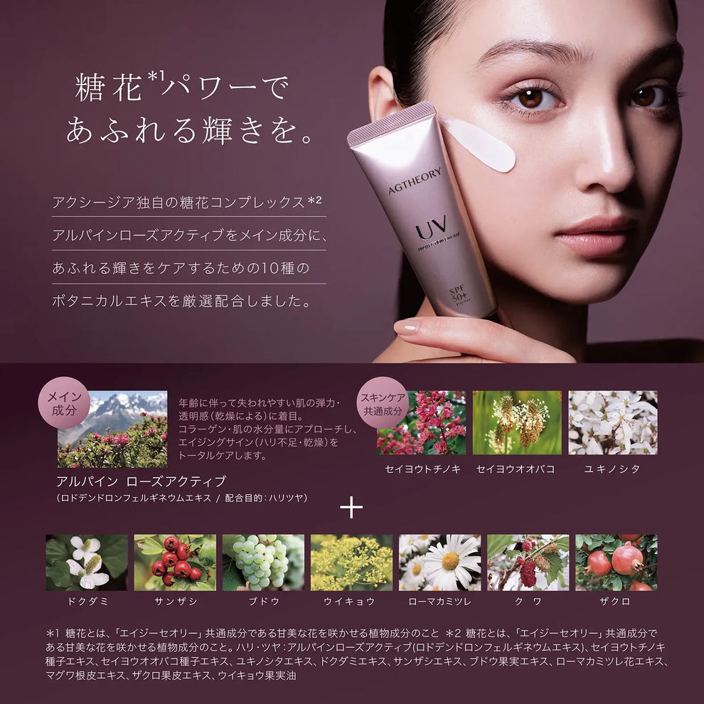 エイジーセオリー シリーズ 成分