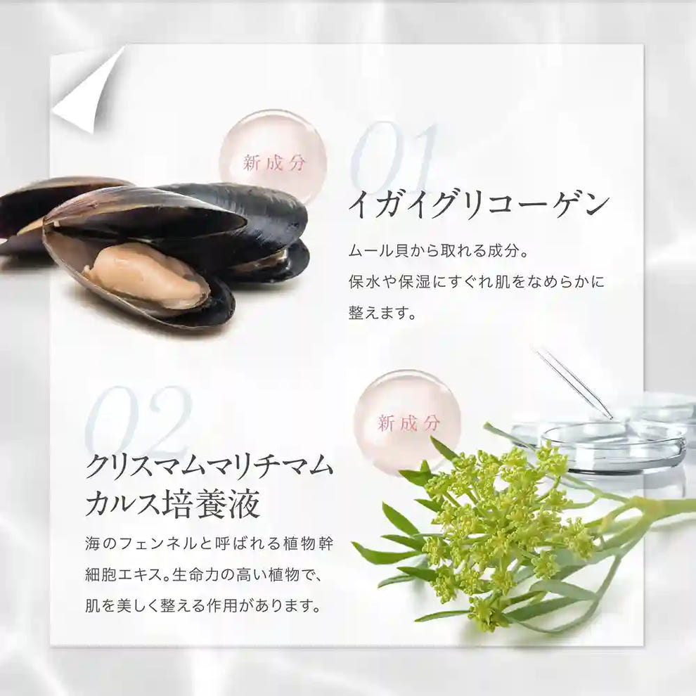 アクシージア ビューティーフォース モイストリッチクリーム EX 新配合成分 ツヤ・保湿:イガイグリコーゲン 、クリスマムマリチマムカリス培養液