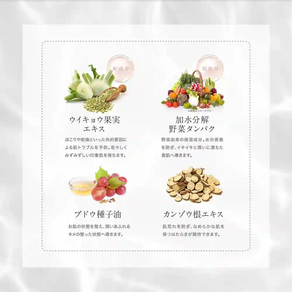 アクシージア ビューティーフォース モイストリッチクリーム EX ウイキョウ果実エキス 加水分解野菜タンパク ブドウ種子油 カンゾウ根エキス