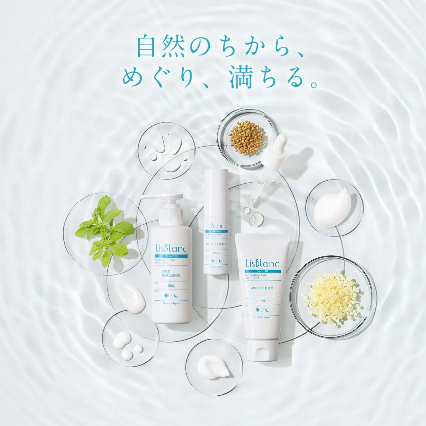 アクシージア_リスブラン_マイルドクレンジング_自然のちから、めぐり、満ちる。