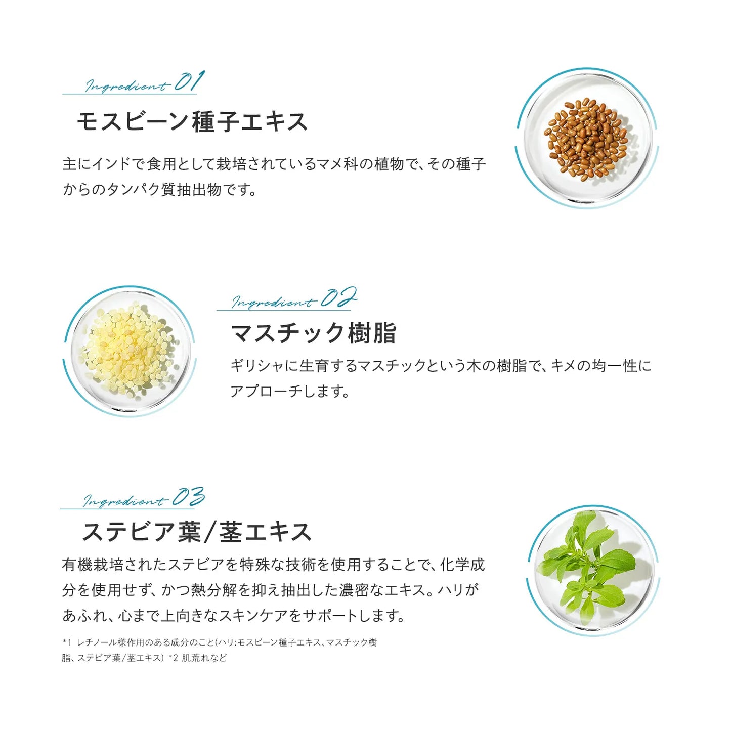 リスブラン シリーズ  ハリ:モスビーン種子エキス マスチック樹脂 ステビア葉/茎エキス