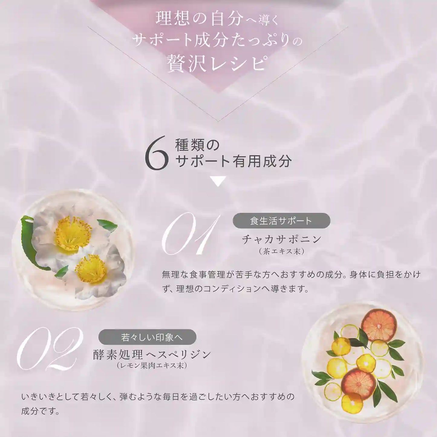 ヴィーナスレシピ VF ゼリー サポート成分 チャカサポニン(茶エキス末) 酵素処理ヘスペリジン(レモン果肉エキス末)