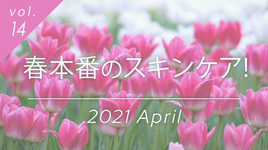 春本番のスキンケア特集のバナー画像。春の乾燥と日焼け止め対策について解説。背景はピンクのチューリップの花畑。