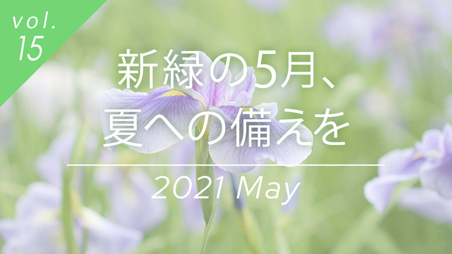 夏のスキンケア：高温・紫外線対策に保湿と日焼け止めは必須。背景には美しい花菖蒲。