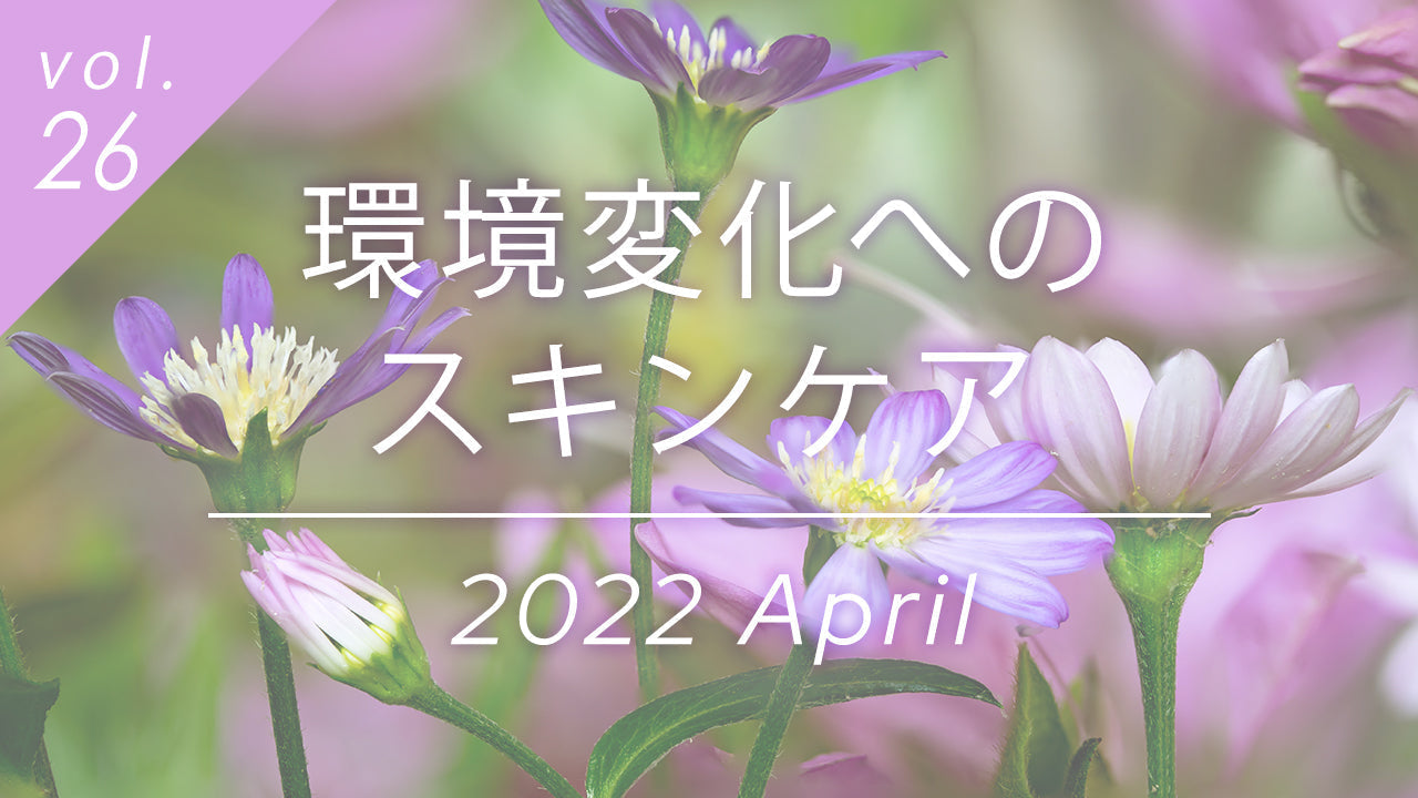 環境変化に揺らがない肌へ。紫の花のクローズアップ画像。