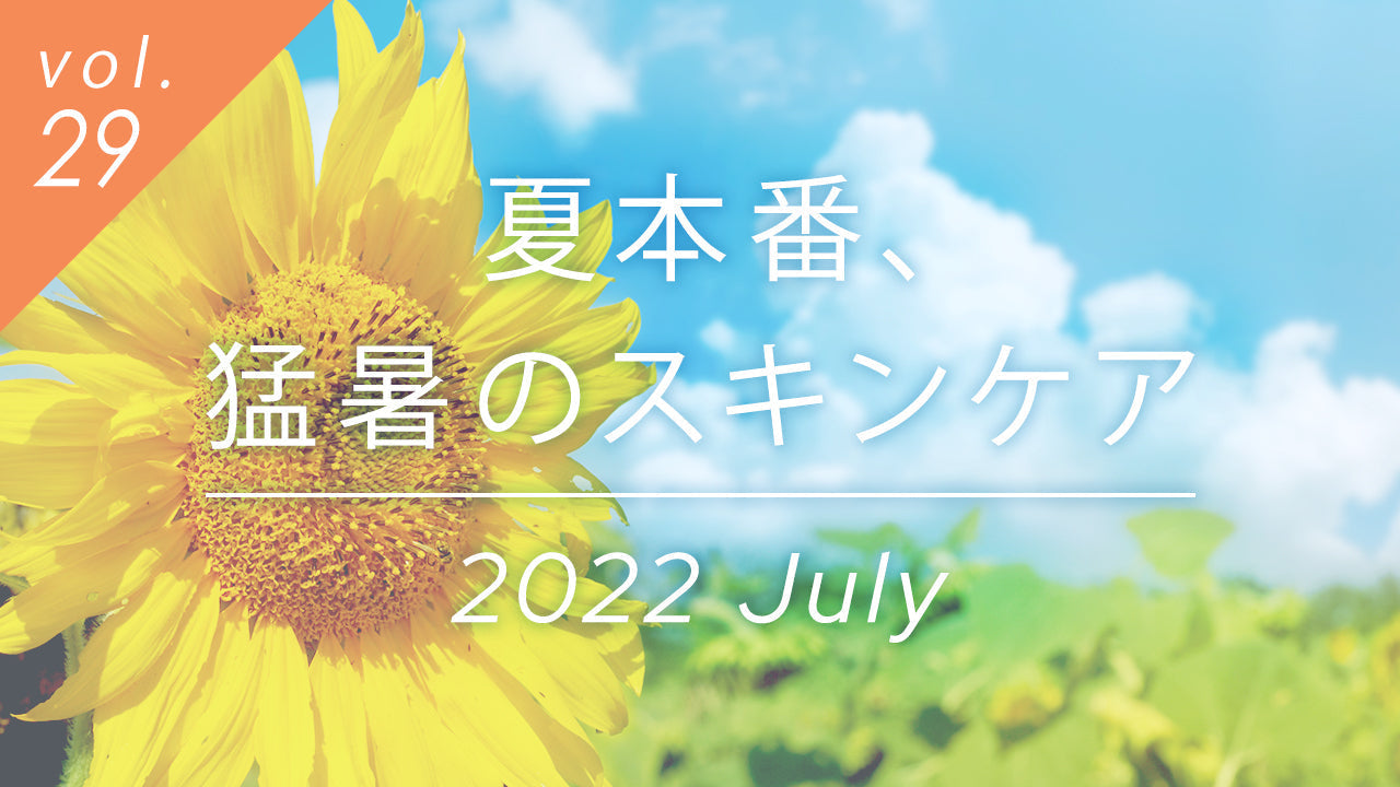 夏本番の猛暑のスキンケアを象徴する青空とひまわり。