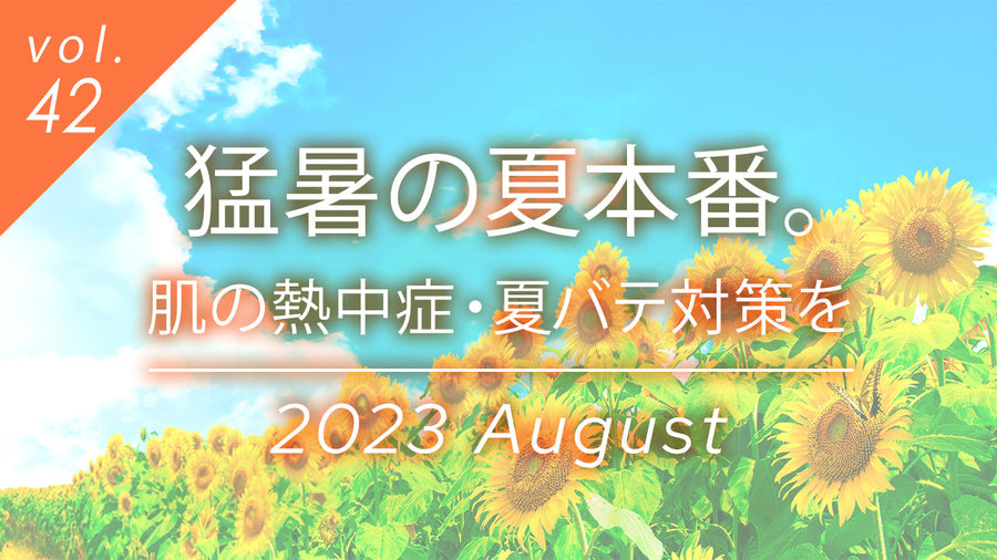 猛暑の夏本番、肌の熱中症と夏バテ対策を特集。青空とひまわりの画像が、過酷な紫外線に負けないスキンケアの必要性を象徴する。