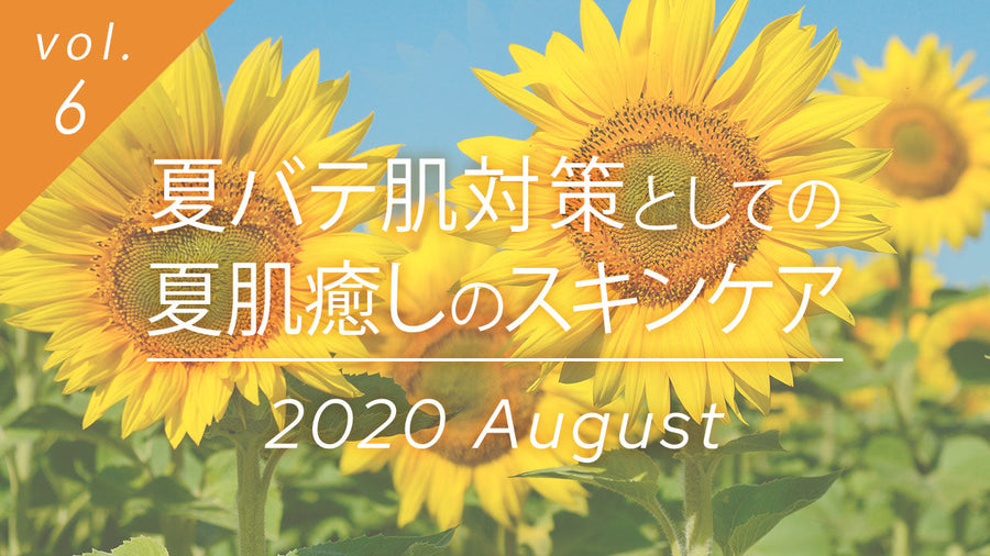 夏バテ肌対策としての夏肌癒しのスキンケア特集。