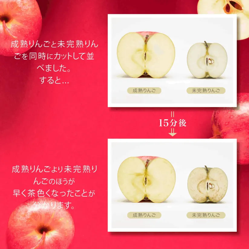 アクシージア_ヴィーナスレシピ_ザ ホワイト ドリンク_成熟りんごと未完熟りんごを同時にカットして並べました。