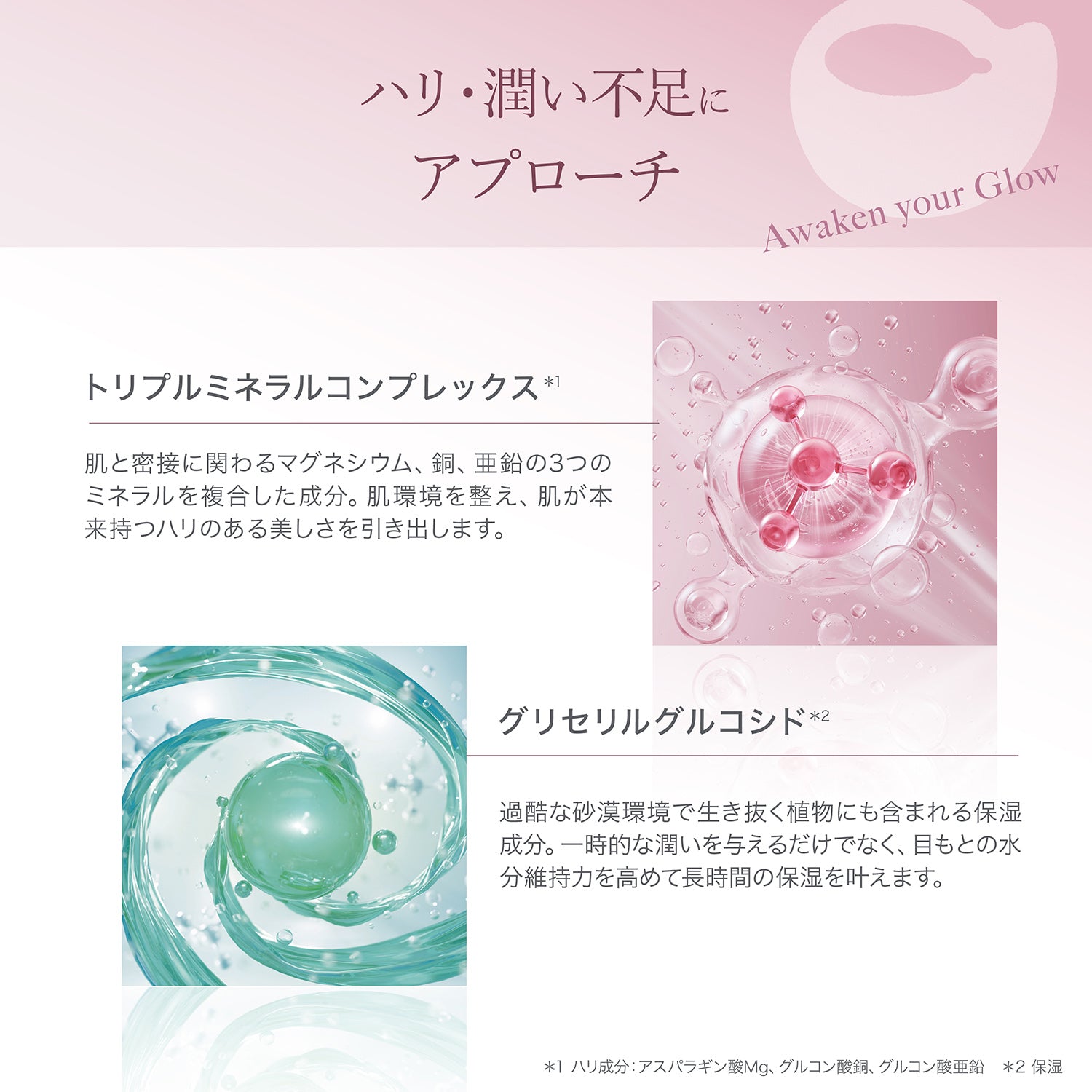 目もとハリツヤ肌セット | 美容家電 + アイシートセット– アクシージア
