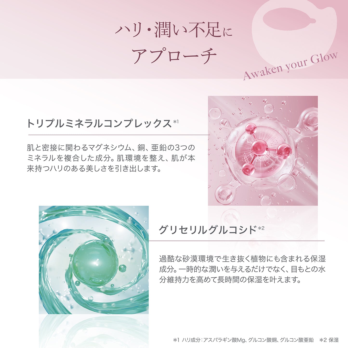 目もとハリツヤ肌セット GIFT付き