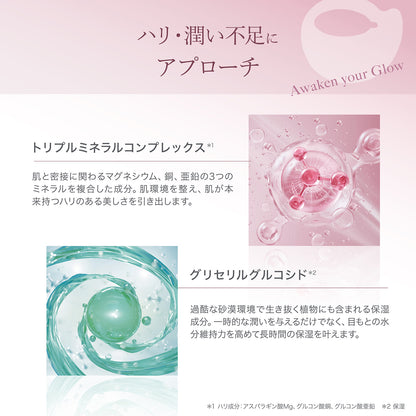 目もとハリツヤ肌セット GIFT付き