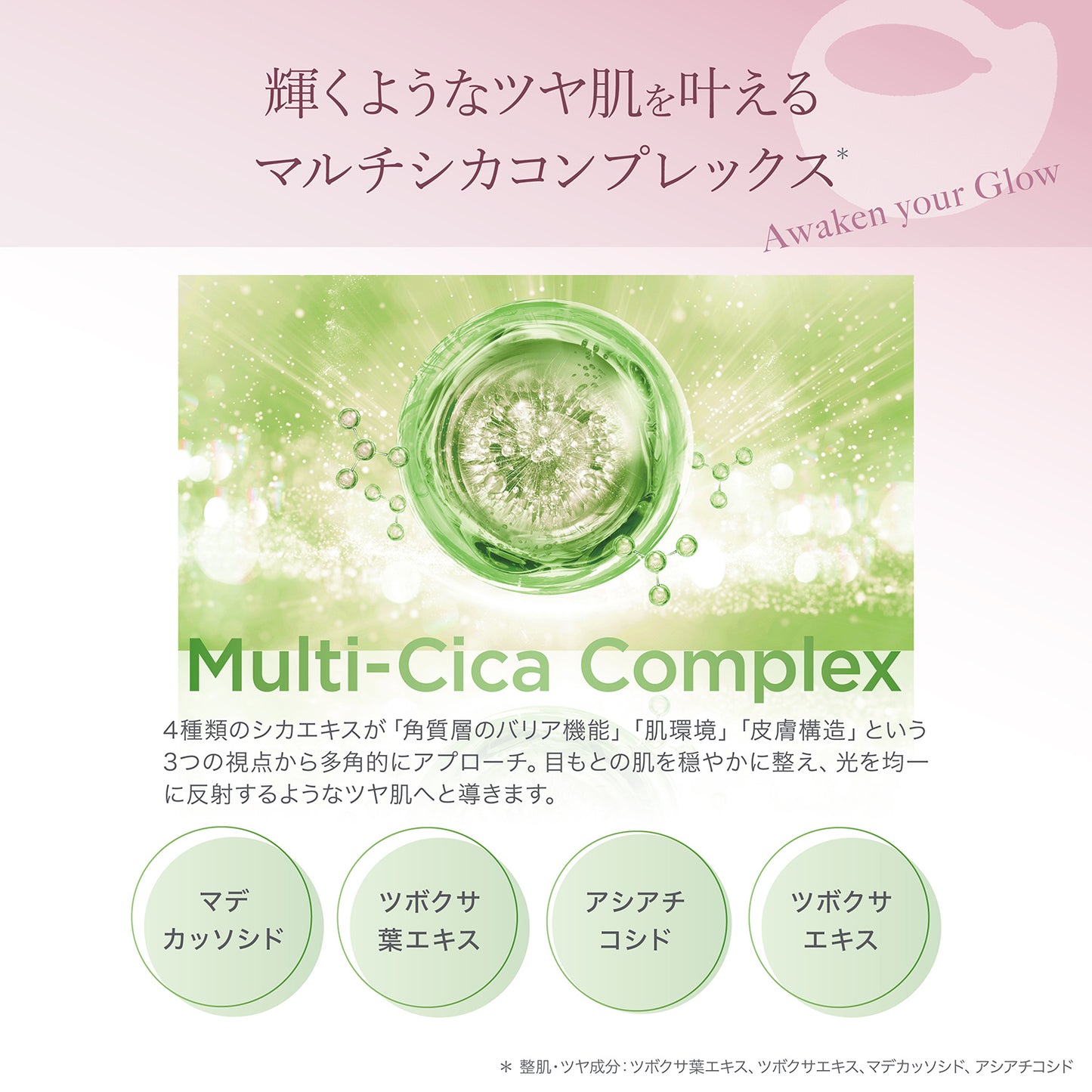 目もとハリツヤ肌セット GIFT付き
