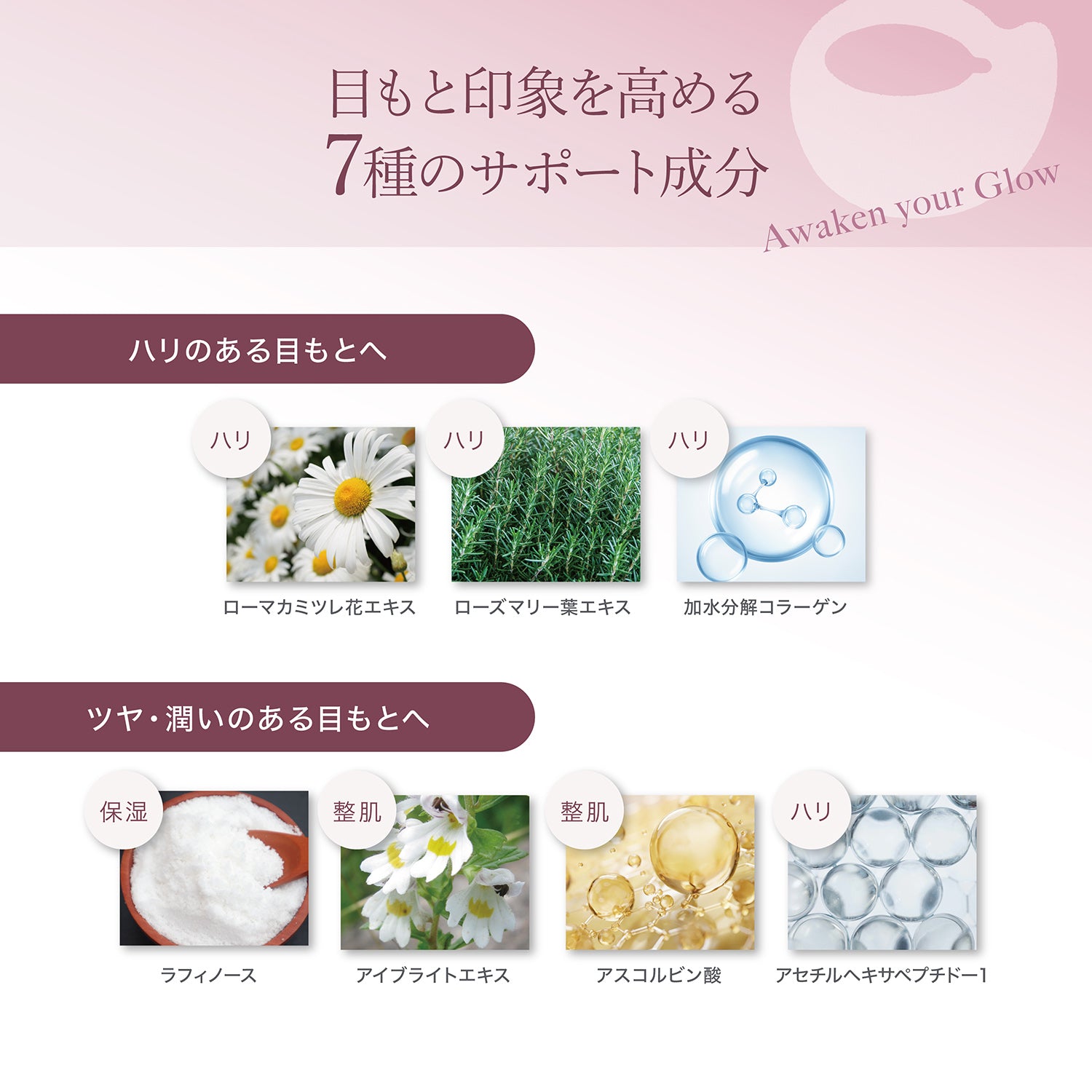 目もとハリツヤ肌セット | 美容家電 + アイシートセット– アクシージア