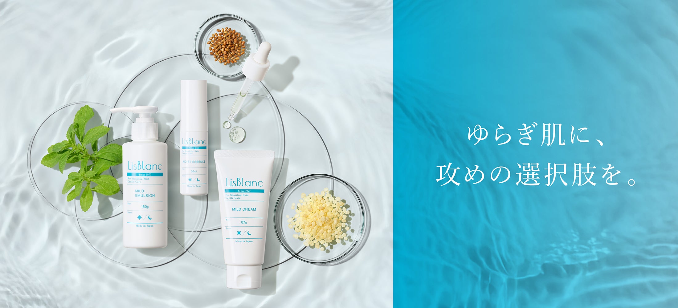 新品未使用　リスブラン 洗顔料＆ローション セット 各500ml LisBlanc（アクシージア リスブラン）– アクシージア 公式ショップ
