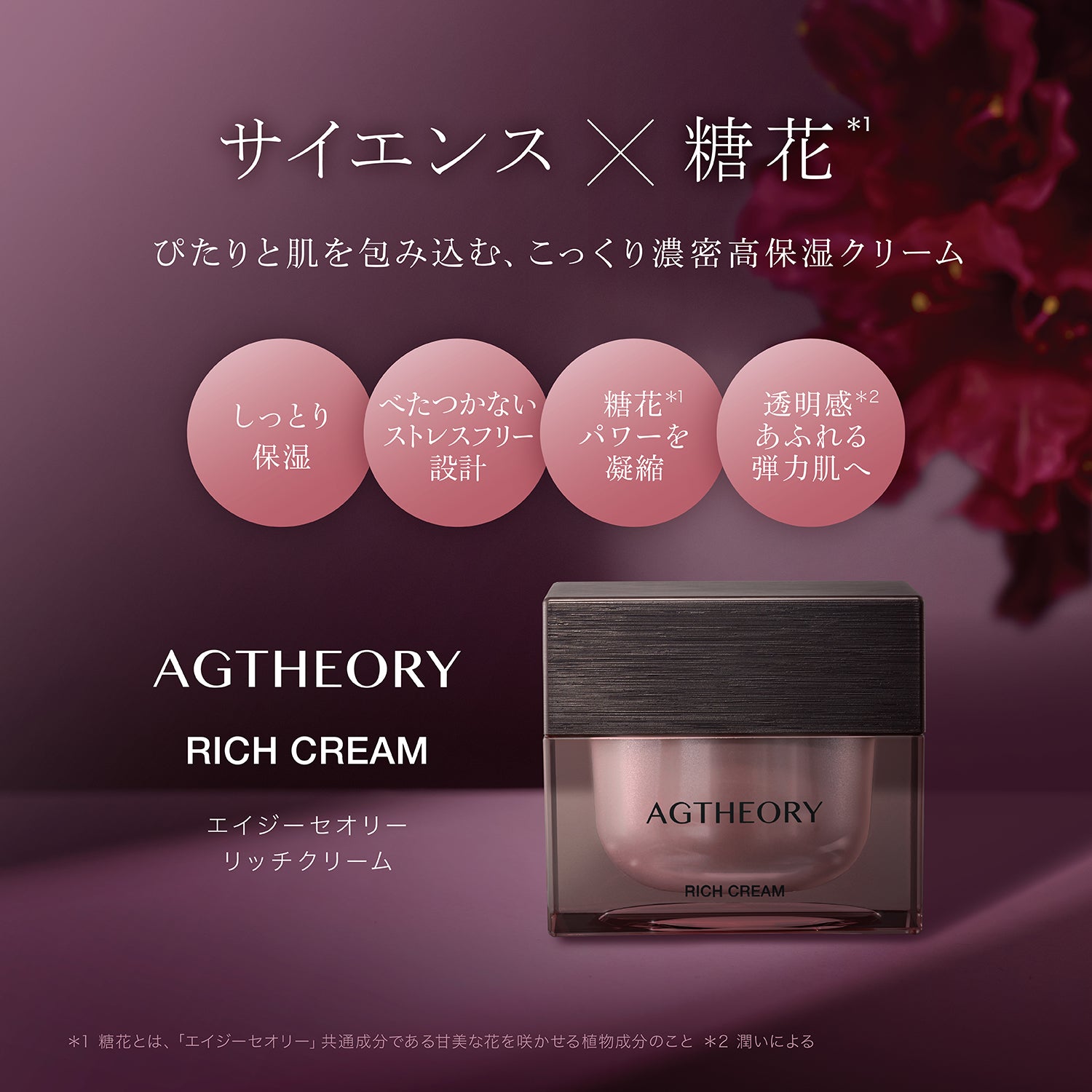 保湿クリーム｜エイジーセオリー リッチクリーム 30g – アクシージア 公式ショップ