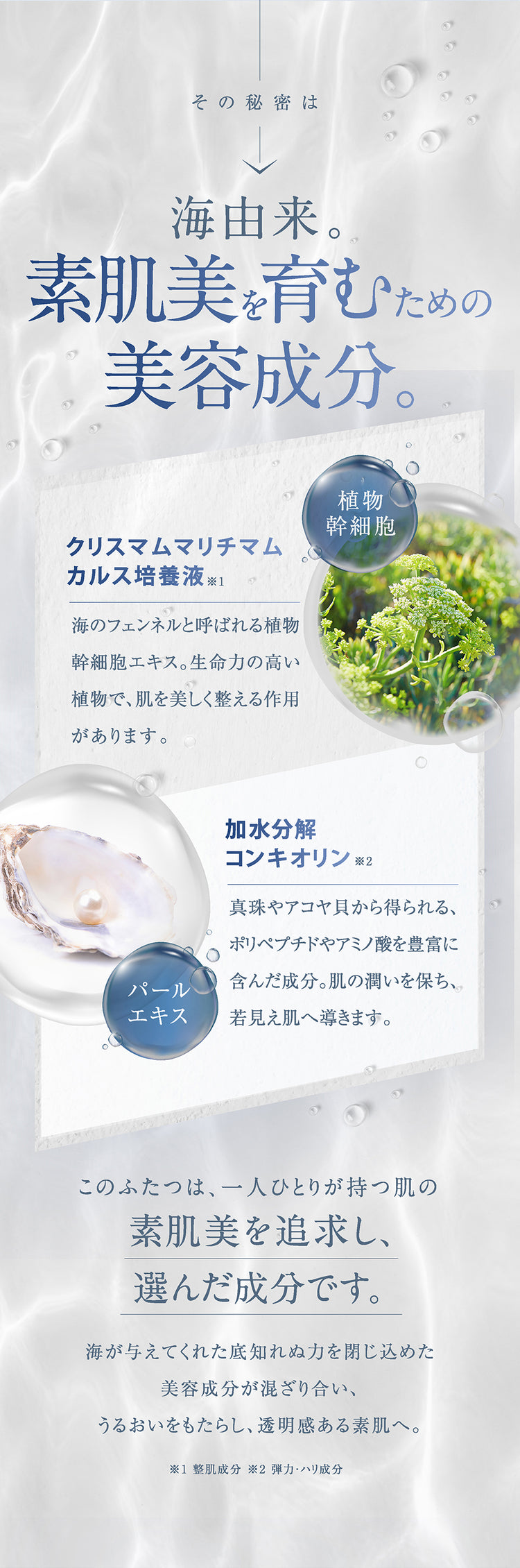 アクシージア ビューティーフォース コンフォート クレンジング クリーム 120g